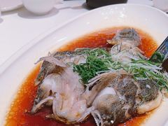 -上海总会SHANGHAICLUB(兴业太古汇店)