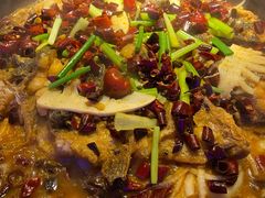 -老板恋上鱼(恒隆广场店)