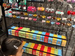 -椿记烧鹅(叠彩店)