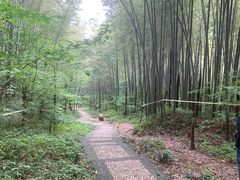 -南山风景名胜区