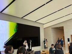 -Apple零售店(苏州店)