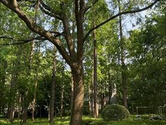 -徐家汇源景区-衡山公园