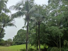-深圳湾公园(南山区)