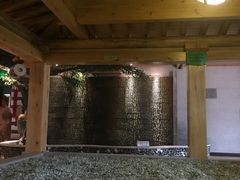 -盛彼得温泉度假酒店