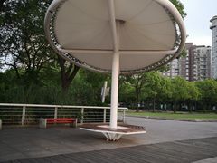 -新江湾城公园