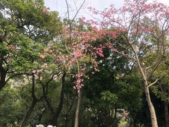 -文华公园(禅城区)