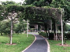 -东莞植物园
