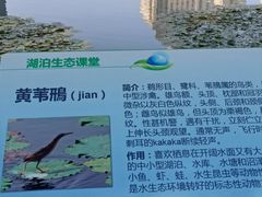 -宝岛公园