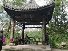 -重庆彩云湖湿地公园