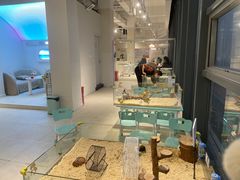 -怪兽屋·羊驼·猫咖·狗咖(俊华广场店)