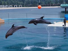 -秦皇岛乐岛海洋王国