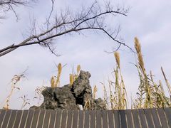 -菊花台公园
