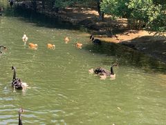 -长白岛森林公园