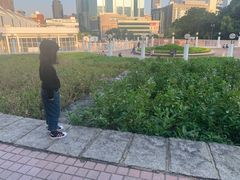 -九龙公园