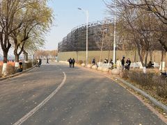 -丁香湖公园