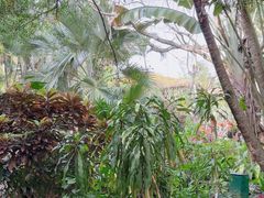 -海南热带野生动植物园