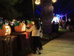 -迪士尼乐园停车场