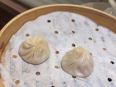 -苏小柳点心·手作小笼包(浦东嘉里城分院)