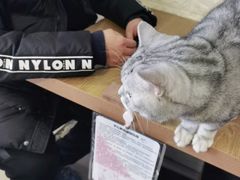 -平行世界·猫咖(首经贸店)
