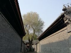 景点-恭王府博物馆