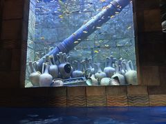 -新加坡水上探险乐园