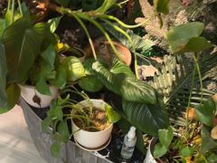 -泰古龙抓龙筋·spa按摩(静安店)