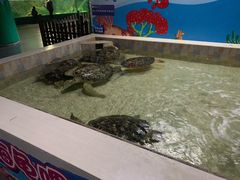-常州海昌海洋探索馆