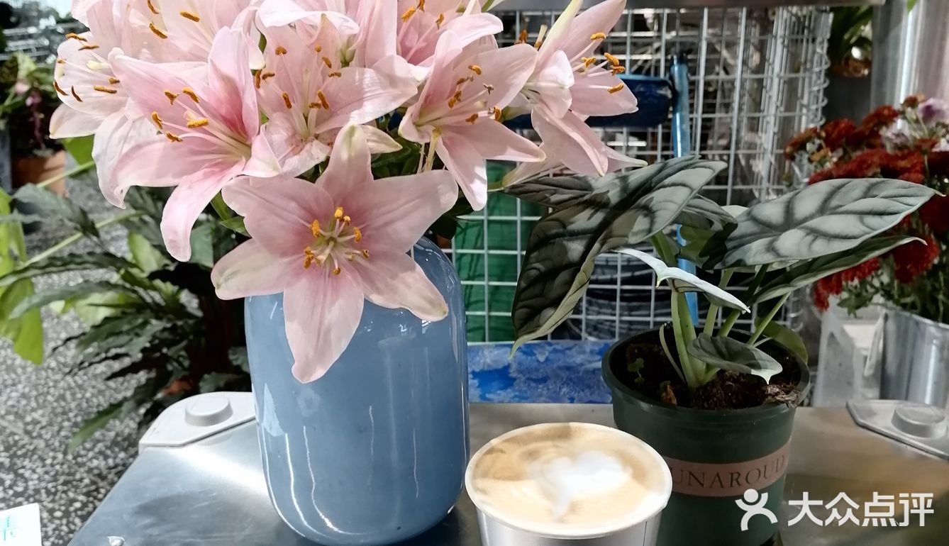          🌸鲜花店里喝咖啡☕️
