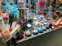 -谷莠子花艺·气球派对·绿植造景·花艺沙龙(金光华广场店)