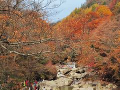 -光雾山旅游景区
