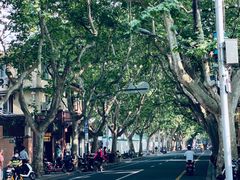 -大可堂普洱茶馆(襄阳南路馆)