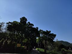 -立新湖公园