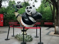 游乐设施-成都大熊猫繁育研究基地