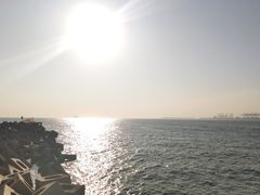 -东疆建设开发纪念公园