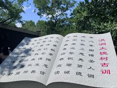 -大槐树寻根祭祖园