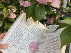 -南京奥林匹克体育中心