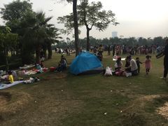 -凤岭儿童公园