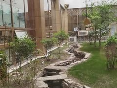 -北京德尔康尼骨科医院