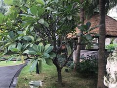 -厦门日月谷温泉渡假村