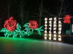 -青龙湖公园