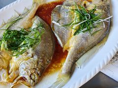 -川林海鲜酒家·湾仔传统早茶·粤菜