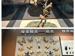 -天津自然博物馆