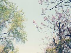 -十三陵水库