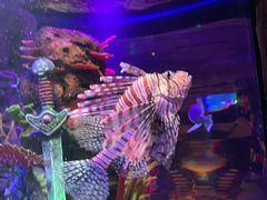 -沈阳海洋探索中心