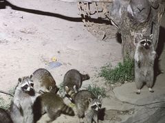 -宁波野生动物园
