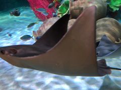 -沈阳海洋探索中心