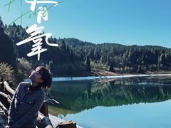 -武陵山森林公园