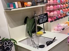 -LUSH(威尼斯人店)