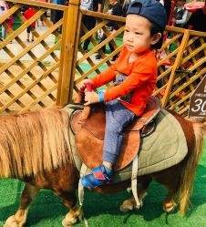 -萌宠亲子动物乐园(槐房万达店)