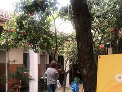 -李东农庄(中南百草园地标店)